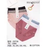 Intimo Donna Quattro stagioni Made in Italia Quotidiano Vari Colori Standard — foto 1