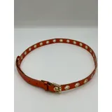 Cinture Donna Autunno Made in Italia Quotidiano 2 cm Natale — foto 1
