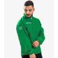 verde #009900
