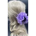 viola