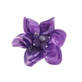 viola #660066