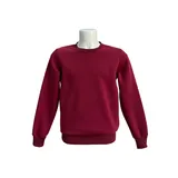 Felpa Uomo Autunno/Inverno Made in Cina Tempo libero Vari Colori Standard Senza Chiusura — foto 1