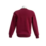 Felpa Uomo Autunno/Inverno Made in Cina Tempo libero Vari Colori Standard Senza Chiusura — foto 3