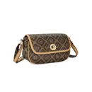 marrone #663300