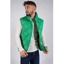 verde #009900