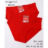 Intimo(D) Genere Intimo Mutande Mutandine Donna Quattro stagioni Made in Cina Quotidiano Colore Unico Curvy(taglie forti) — foto 1