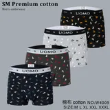 Intimo Mutande Intimo Uomo Quattro stagioni Made in Cina Vari Colori — foto 1