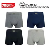 BOXER — foto 1