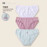 Intimo(D) Genere Intimo Mutande Mutandine Donna Quattro stagioni Made in Cina Quotidiano Vari Colori Standard Classico — foto 1