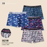 BOXER — foto 1