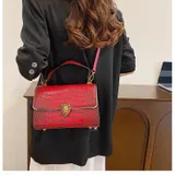 Borse da Uomo Donna Quattro stagioni Made in Cina Quotidiano Vari Colori 1 colore Monocromo Normale Polliammide Standard In Plastica Quotidiano — foto 4