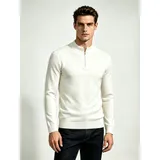 Pullover Uomo Uomo Autunno/Inverno Made in Cina Quotidiano Vari Colori Standard Monocromo Cerniera lampo — foto 2