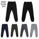 Pantaloni(U) Uomo Pantaloni Sportivi Uomo Autunno/Inverno Made in Cina Sportivo Vari Colori Standard Monocromo — foto 1